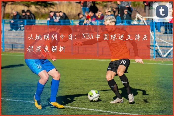 从姚明到今日:NBA中国球迷支持历程深度解析